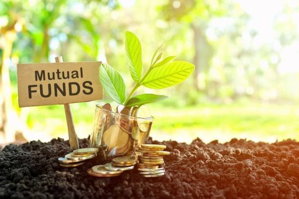 Mutual fund investment growth